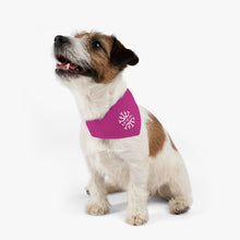 Skigirl Pet Bandana Collar