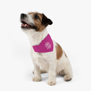 Skigirl Pet Bandana Collar